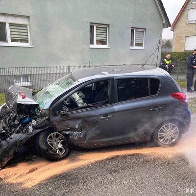 Bild vergr&ouml;&szlig;ern: Polizei und Feuerwehr am Unfallfahrzeug