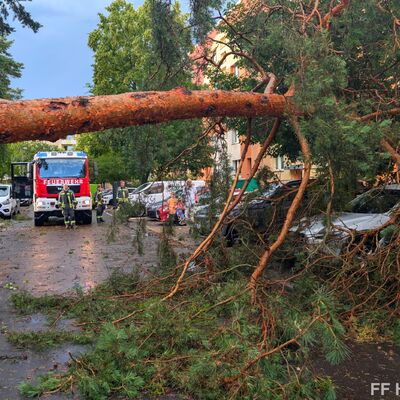 Baum umgestürzt und blockiert Straße in Hennigsdorf Nord
