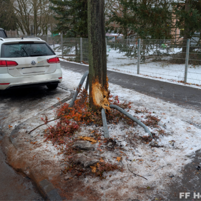 Bild vergr&ouml;&szlig;ern: Beschädigter Baum nach Verkehrsunfall