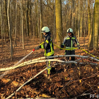 Bild vergr&ouml;&szlig;ern: Einsatzkräfte bei Flächenbrand im Stadtwald 1