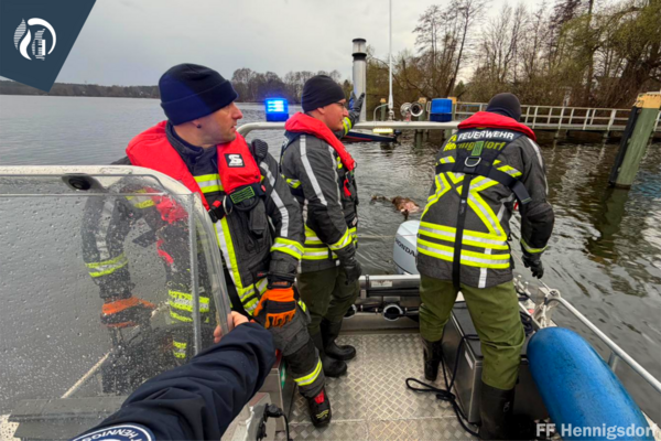 Bild vergr&ouml;&szlig;ern: Einsatzkräfte auf Feuerwehrboot bei Transport von toten Wildschweinen 1