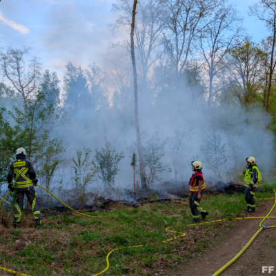 Bild vergr&ouml;&szlig;ern: Einsatzstelle Waldbrand mit starker Rauchentwicklung