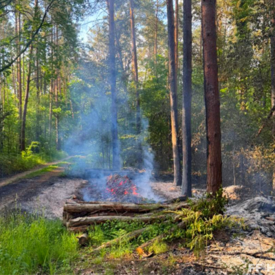 Bild vergr&ouml;&szlig;ern: Brennender Holzpolter bei Einsatz Waldbrand 1