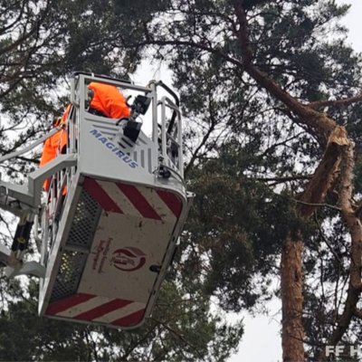 Bild vergr&ouml;&szlig;ern: Einsatzkräfte im Drehleiterkorb am abgebrochenen Ast