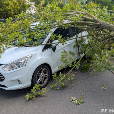 Bild vergr&ouml;&szlig;ern: Einsatzstelle mit umgestürzten Baum auf PKW 1